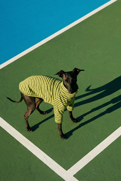 Jersey T-Shirt - Green & Black Urban Stripe