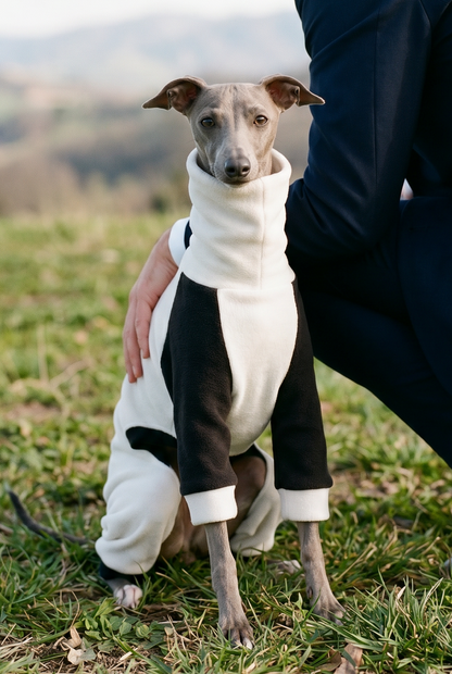 italian grreyhound whippet wedding suit like tuxedo for dog summer wedding spring.