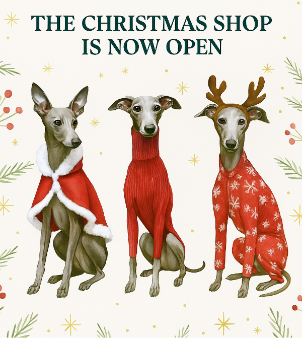 Three dogs in festive outfits with text 'The Christmas Shop is Now Open' on a decorated background.