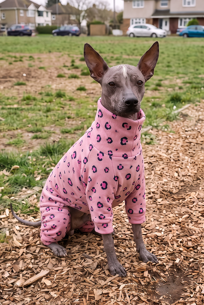 Dog Clothing for Xoloitzcuintli, Peruvian Hairless Dogs & Hairless Breeds

Keep your Xoloitzcuintli, Peruvian Inca Orchid and other hairless dogs warm and comfortable with specially designed dog clothing. Our collection includes cosy jumpers, fleece clothing and warm layers designed for dogs with little or no hair, helping provide extra warmth during chilly walks and colder weather.

Whether you're looking for Xolo clothing, Xoloitzcuintli coats, Peruvian Hairless Dog jumpers or clothing for dogs with alope