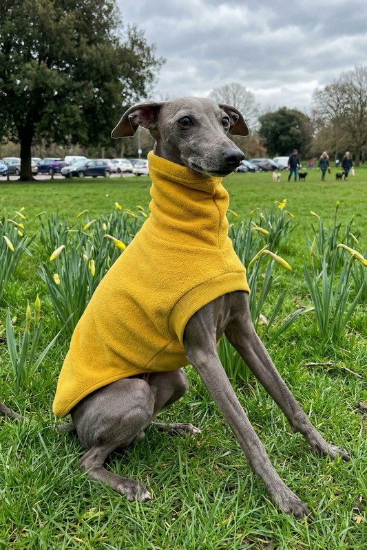 Open-Leg Fleece Vest - Yellow